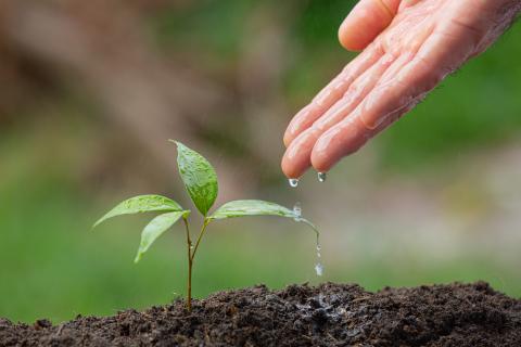 Réchauffement climatique