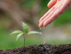 Réchauffement climatique